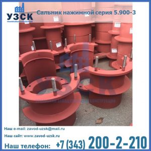 Сальники нажимные серия 5.900-3 в Нефтекамске